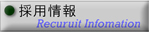 採用情報
